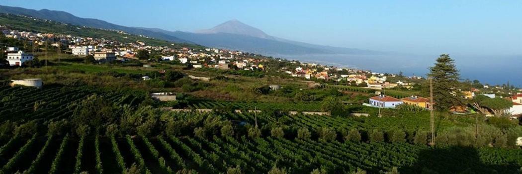 Stunning Views At Tenerife Tacoronte Kültér fotó